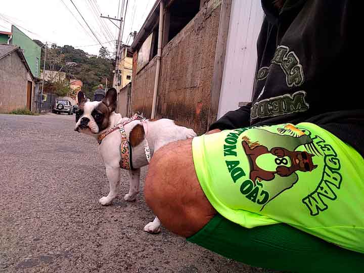 Marcelo Cão da Montanha - Dog Walker